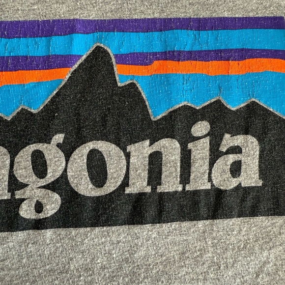 Patagonia Gray Short Sleeve Tee Classic Crew Neck - Picture 5 of 11